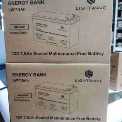 LW BATTERY 12V 7AH